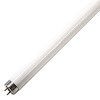LEDVANCE Fluo cijev LUMILUX T8 L36W/865 T8 (G13) OSRAM -  120cm